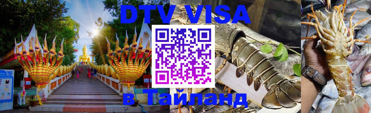 Сколько стоит DTV виза — актуальные цены, оформление даже без документов - Дзержинск 